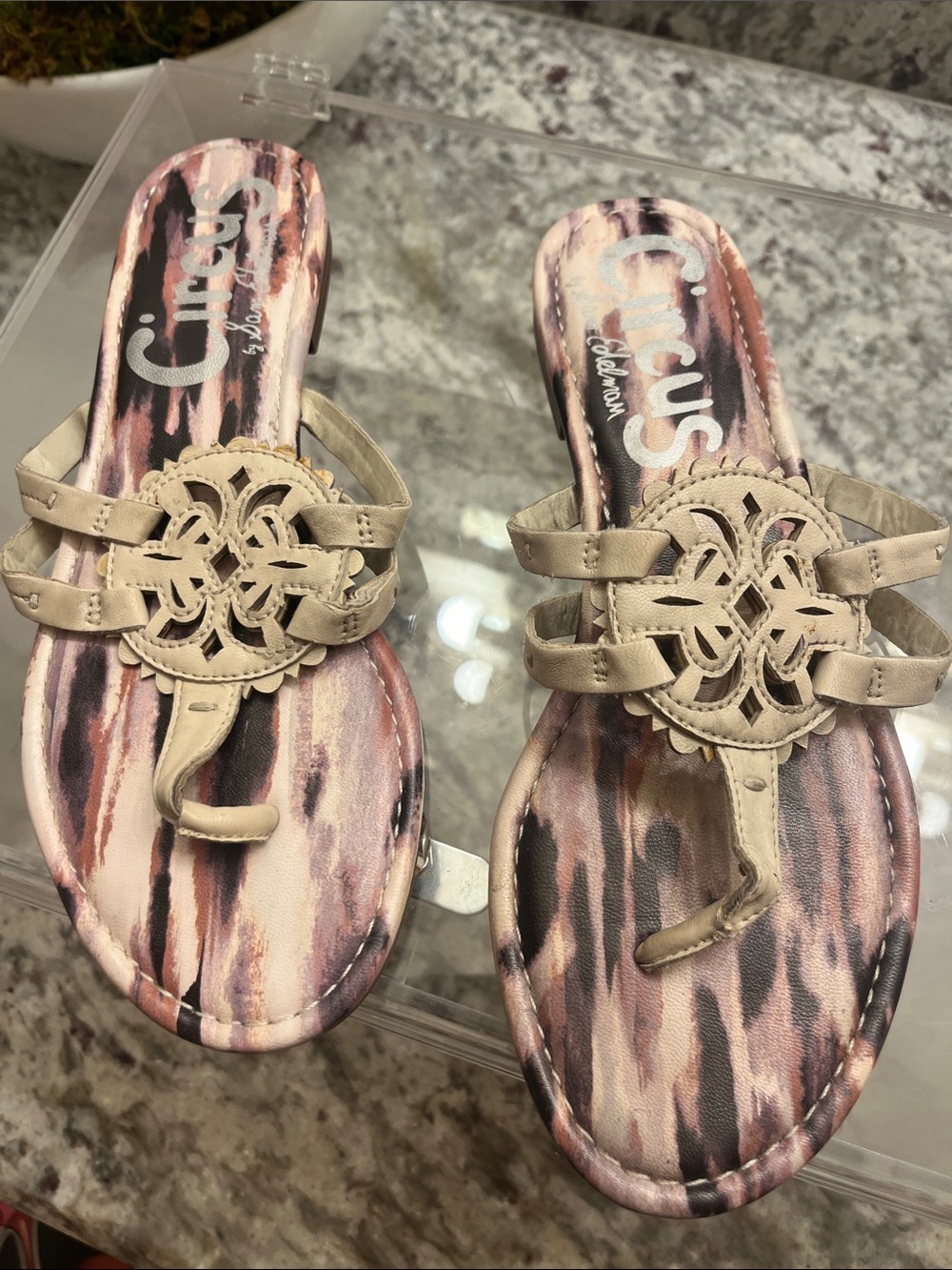 Circus by Sam Edelman Beige Floral Cutout Thong Sandals
